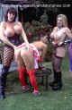 mm_free04.jpg (35868 Byte)