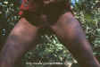 p13.jpg (33513 Byte)